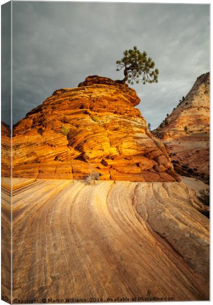Zion National Park Canvas Print by Martin Williams