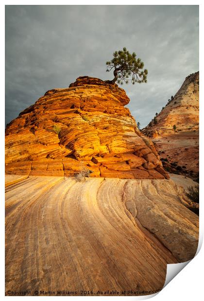 Zion National Park Print by Martin Williams