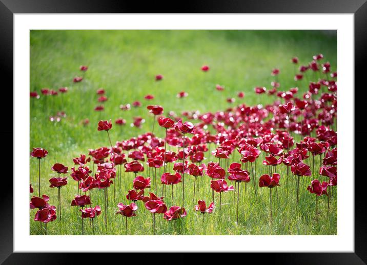 Poppies; Wave at Lincoln Castle Framed Mounted Print by Andrew Scott