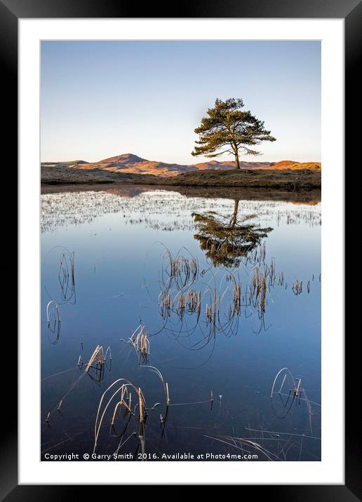 Kelly Hall Tarn, Torver, Cumbria. Framed Mounted Print by Garry Smith