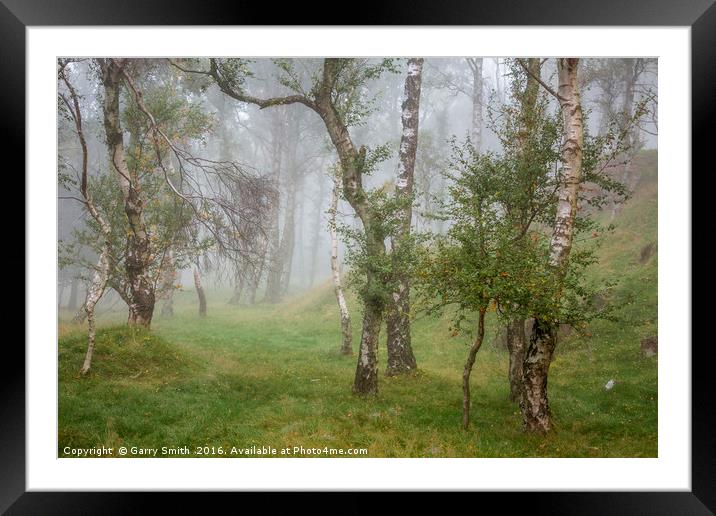 Autumn Mist. Framed Mounted Print by Garry Smith