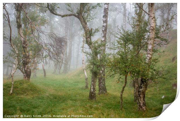 Autumn Mist. Print by Garry Smith
