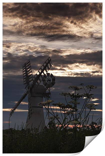 Thurne Mill Print by Stephen Mole