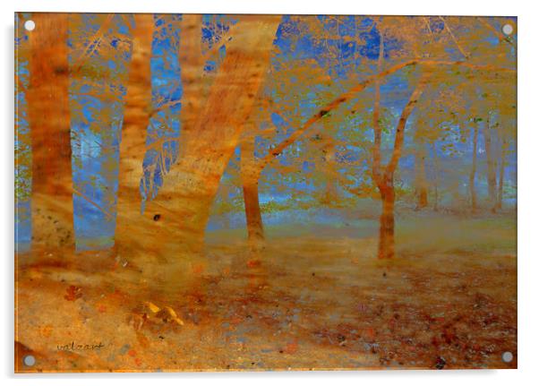 The Beech Wood Acrylic by Valerie Anne Kelly