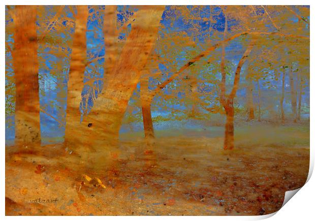 The Beech Wood Print by Valerie Anne Kelly