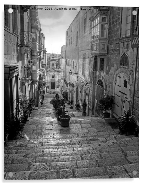 Valletta Street Acrylic by Diana Mower
