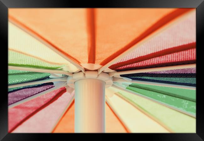Rainbow Colored Umbrella Framed Print by Radu Bercan