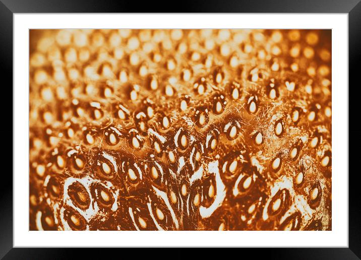 Fresh Red Strawberry Texture Abstract Framed Mounted Print by Radu Bercan
