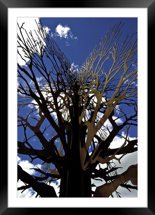 Rusty Tree Framed Mounted Print by Rob Hawkins