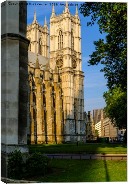 view of the Abbey Canvas Print by mike cooper