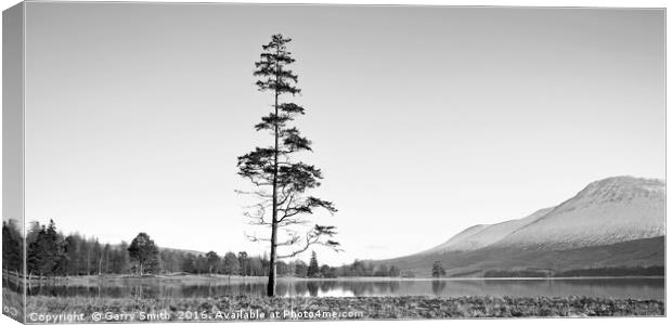 Standing Proud. Canvas Print by Garry Smith