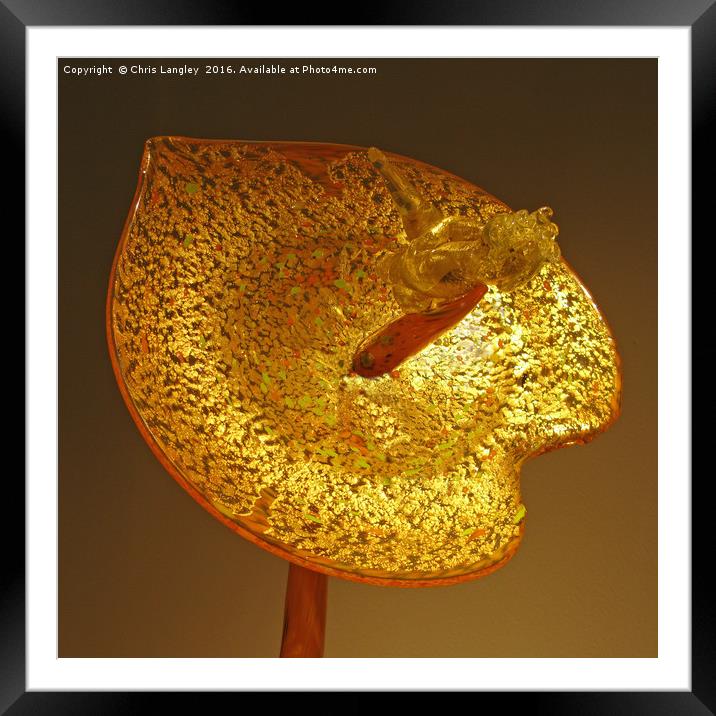 Gilded Art Glass - a water lily Framed Mounted Print by Chris Langley