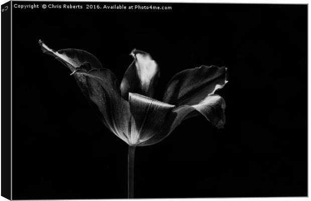 Black Flower Canvas Print by Chris Roberts