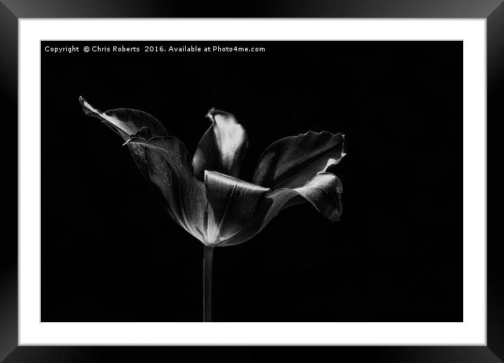 Black Flower Framed Mounted Print by Chris Roberts