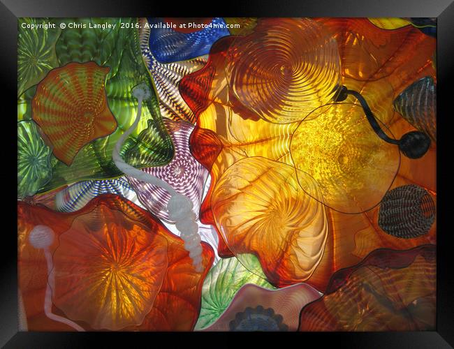 Art Glass - Underwater 11 Framed Print by Chris Langley