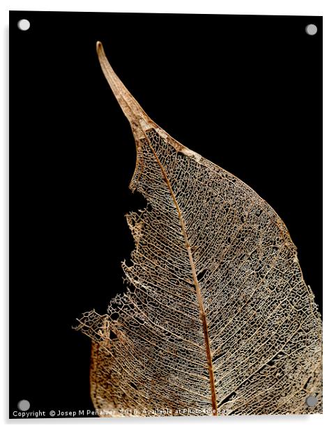winter leaf Acrylic by Josep M Peñalver