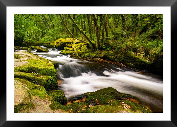 Golitha Falls Framed Mounted Print by Michael Brookes