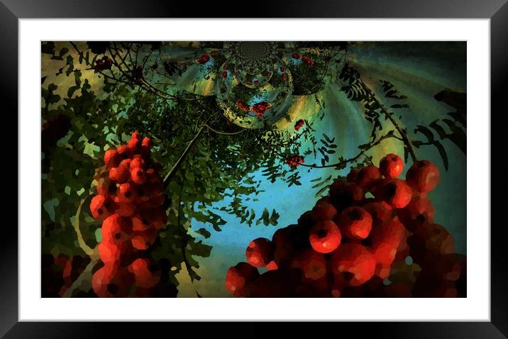 Very Berry Kaleidoscope. Framed Mounted Print by Heather Goodwin