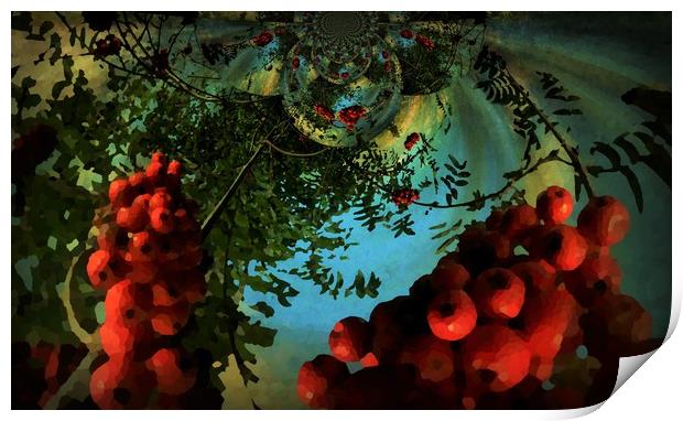 Very Berry Kaleidoscope. Print by Heather Goodwin