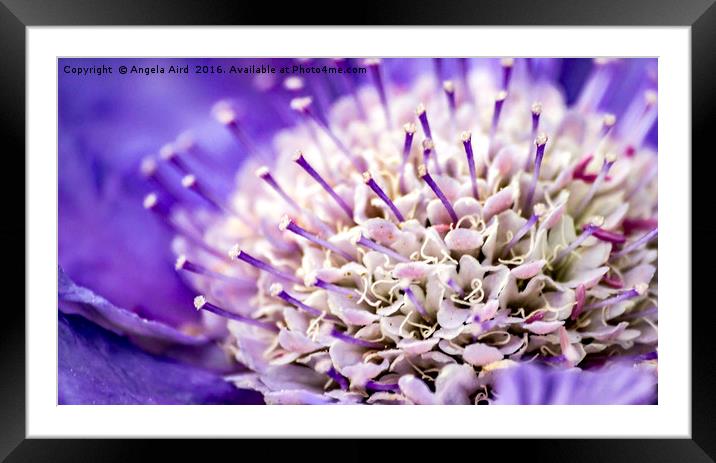 Bliss Framed Mounted Print by Angela Aird