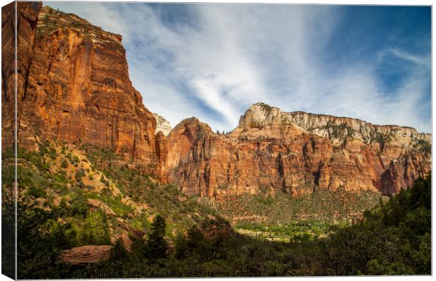 Zion National Park, Utah Canvas Print by Martin Williams