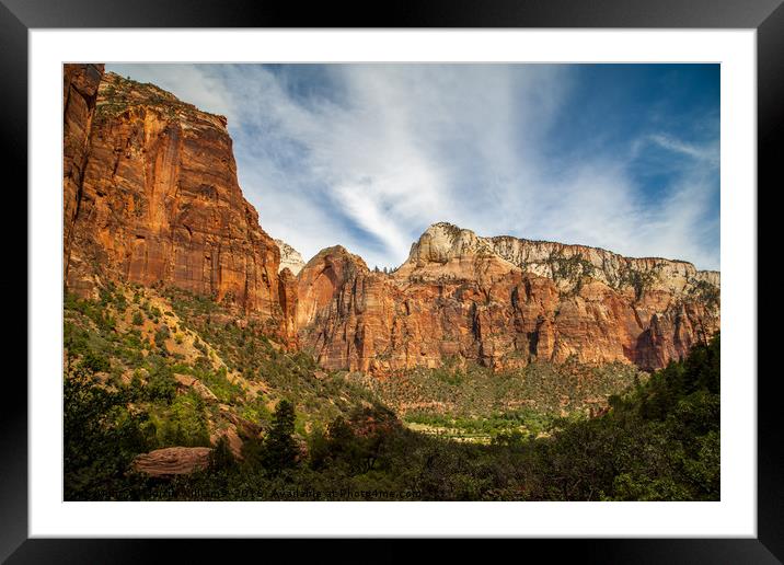 Zion National Park, Utah Framed Mounted Print by Martin Williams
