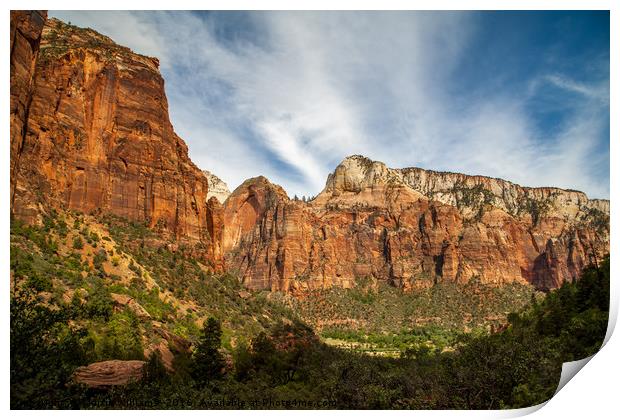 Zion National Park, Utah Print by Martin Williams
