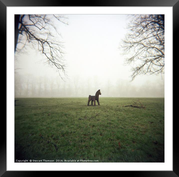 Fog Horse Framed Mounted Print by Stewart Thomson