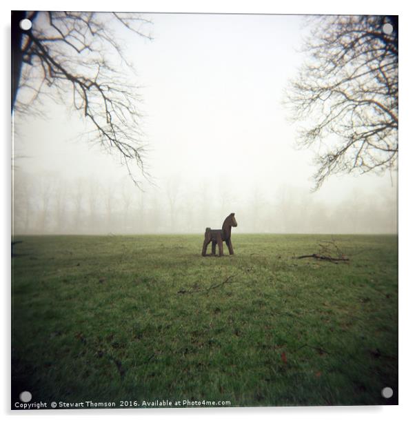 Fog Horse Acrylic by Stewart Thomson