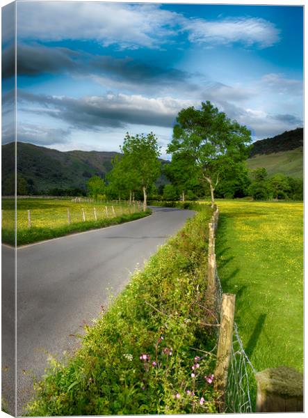 Langdale Valley Canvas Print by Alan Simpson
