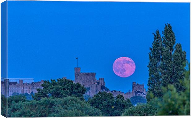 Strawberry Moon.  Canvas Print by Peter Bunker