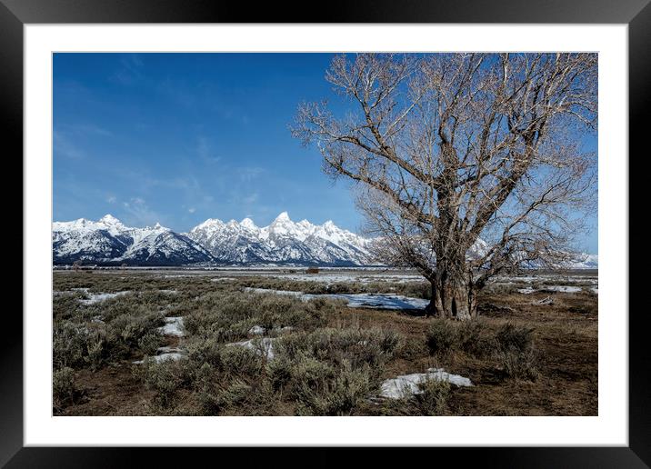 Grand Tetons from Gros Ventre Framed Mounted Print by Belinda Greb