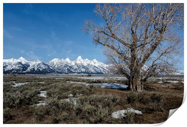 Grand Tetons from Gros Ventre Print by Belinda Greb