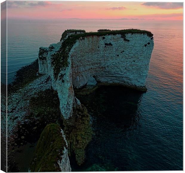 Old Harry Rock Canvas Print by Henry Horton