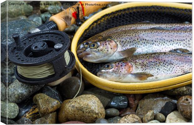 Fly Reel and pole with trout in net  Canvas Print by Thomas Baker