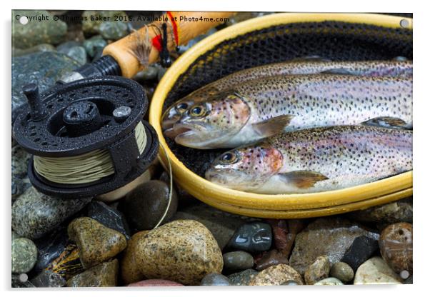 Fly Reel and pole with trout in net  Acrylic by Thomas Baker