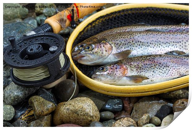 Fly Reel and pole with trout in net  Print by Thomas Baker
