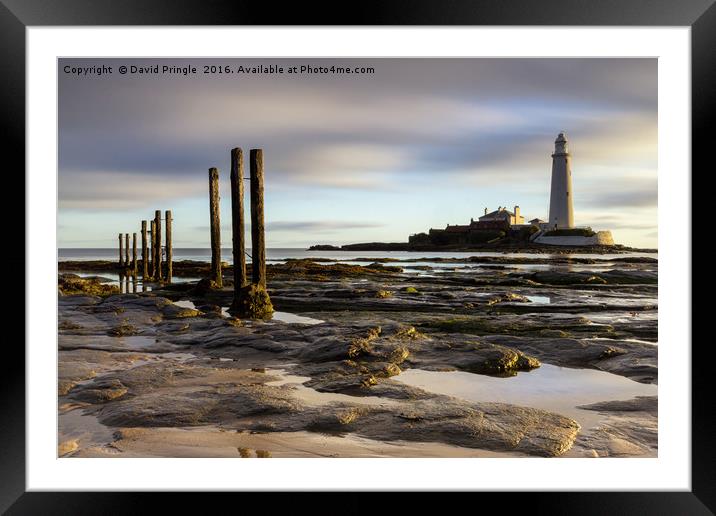 St. Mary's Lighthouse Framed Mounted Print by David Pringle