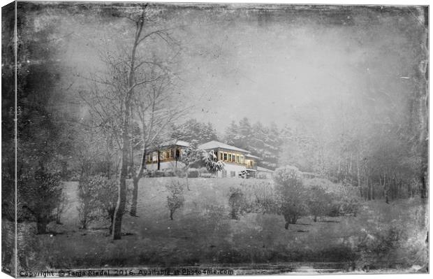 Villa on a Winterberg  Canvas Print by Tanja Riedel