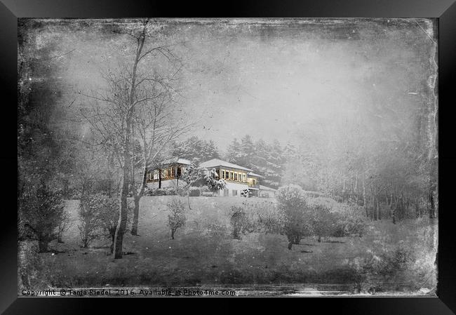 Villa on a Winterberg  Framed Print by Tanja Riedel