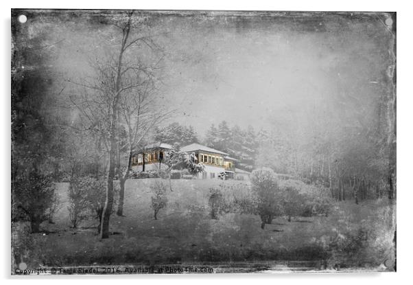 Villa on a Winterberg  Acrylic by Tanja Riedel