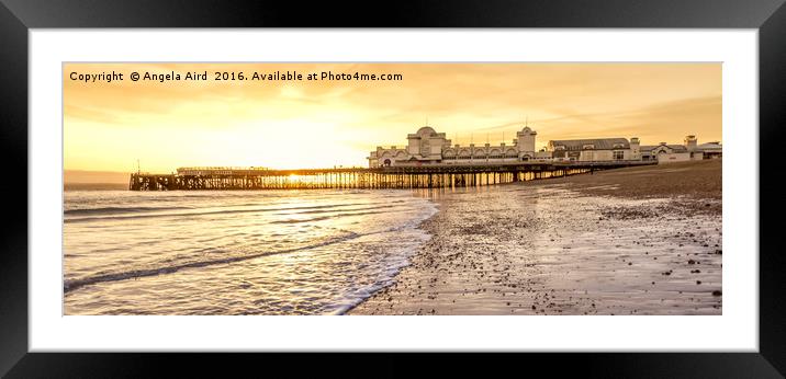 Golden Delight. Framed Mounted Print by Angela Aird