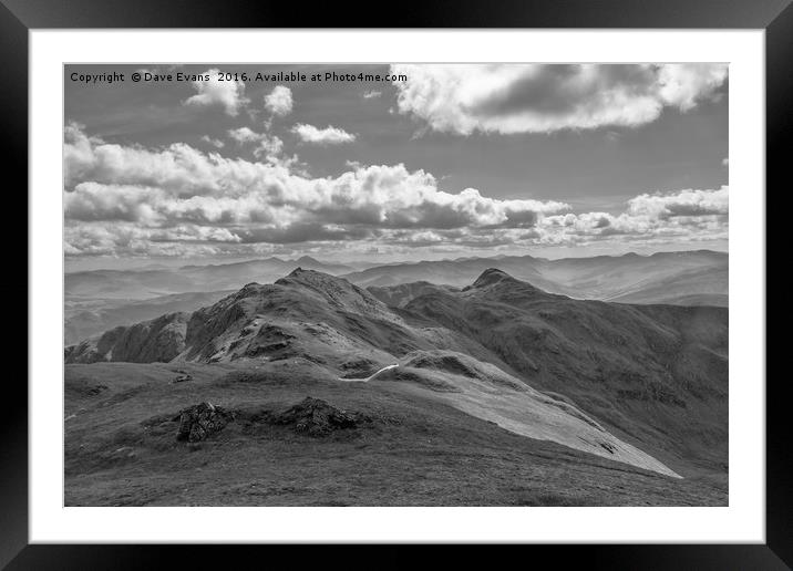 DaveEvansPhotography Framed Mounted Print by Dave Evans