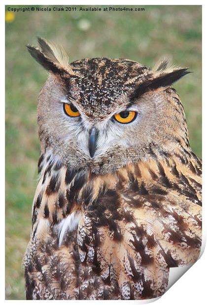 European Eagle Owl Print by Nicola Clark