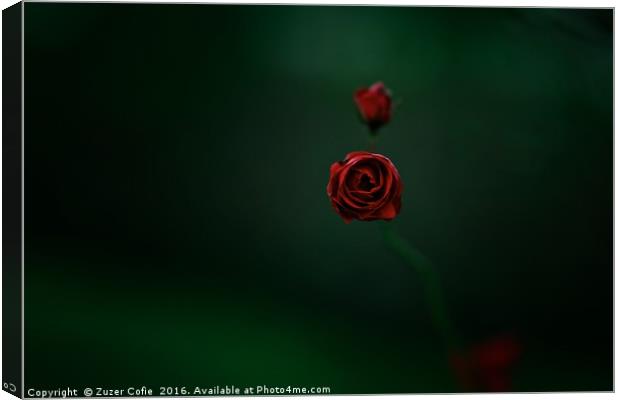 Roses Are Red Canvas Print by Zuzer Cofie