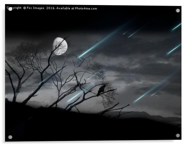  Crow and the Moon skyline Acrylic by Derrick Fox Lomax