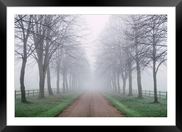 Avenue of trees beside a country road in fog. Norf Framed Mounted Print by Liam Grant