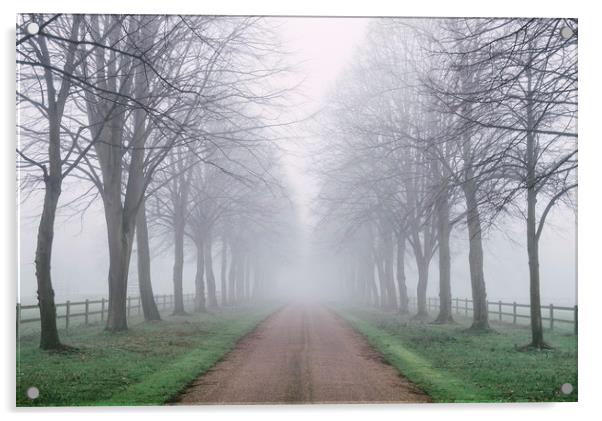 Avenue of trees beside a country road in fog. Norf Acrylic by Liam Grant
