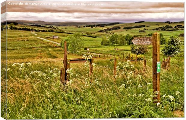 Northumberland Landscape Canvas Print by Martyn Arnold
