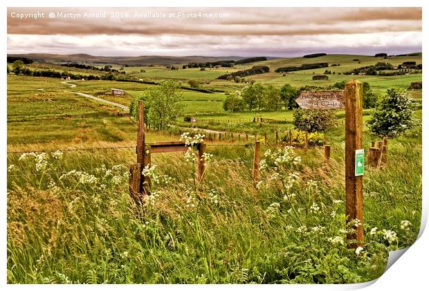 Northumberland Landscape Print by Martyn Arnold
